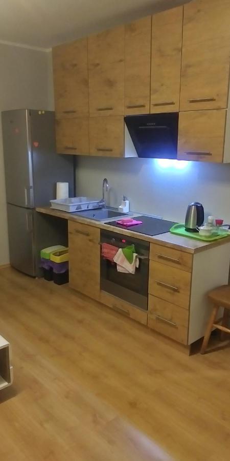 Apartamento Poziom 7 Elbląg Exterior foto